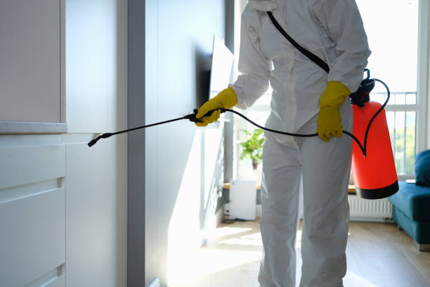 Best Commercial Mold Removal  in Archer City, TX