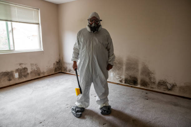 Best Mold Damage Repair  in Archer City, TX